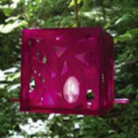 Flock Follies Bird Feeder